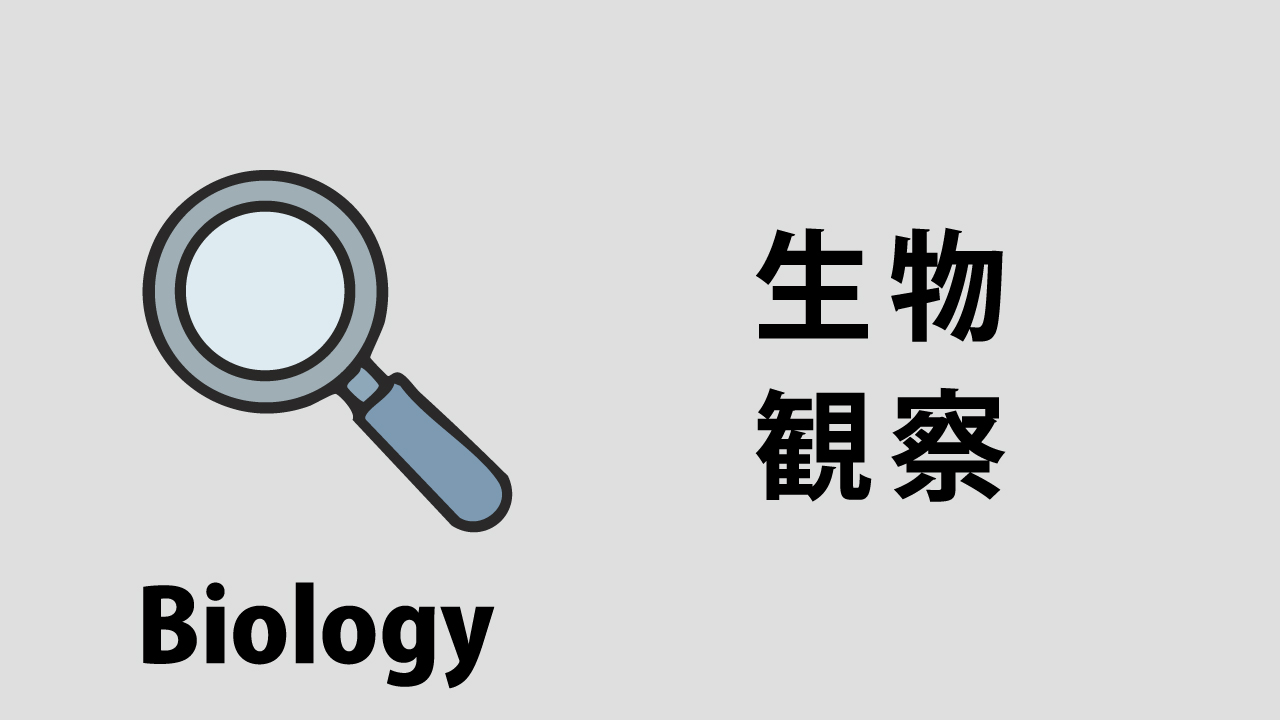 生物・観察