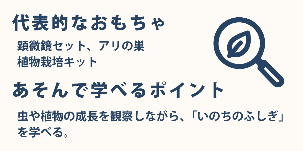 虫や植物の成長を観察しながら、「いのちのふしぎ」 を学べる。
